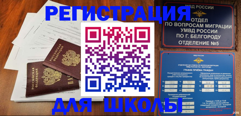 прописка поиск в Черняховске